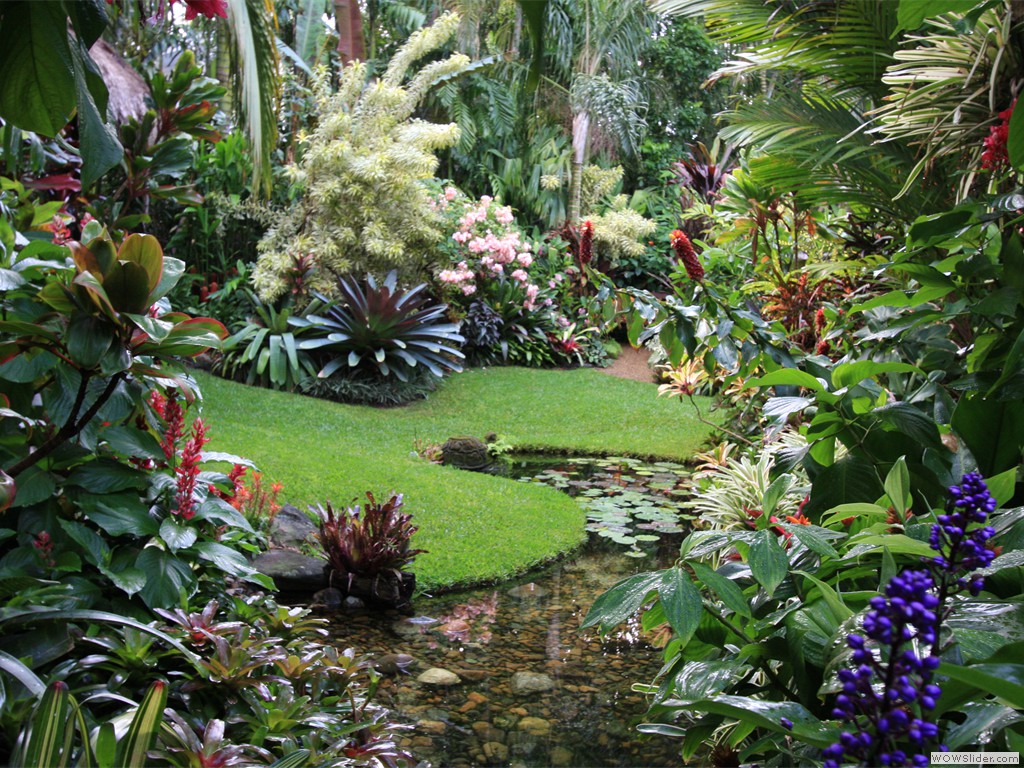 Sân vườn biệt thự phong cách nhiệt đới