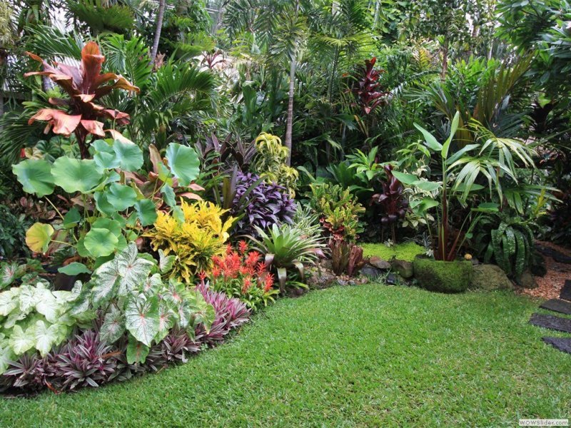 Sân vườn biệt thự phong cách nhiệt đới